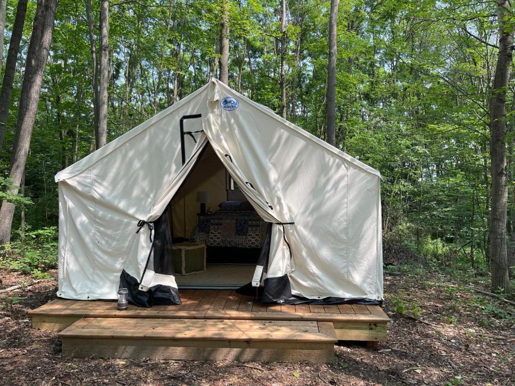 Naturluxe&Stars Watkins Glen Exterior foto